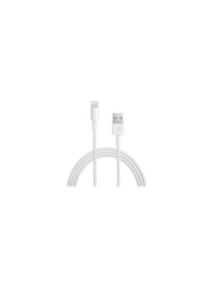 Câble Lightning à USB Charge/Sync pour iPad