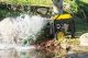 100743 Image 4
